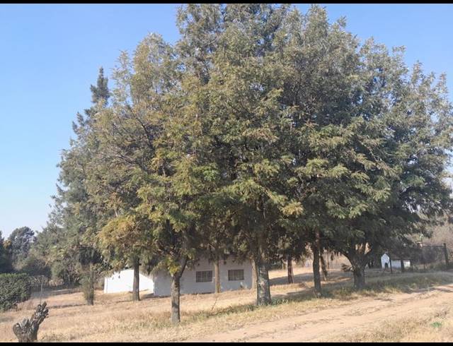 3 BEDROOM HOUSE FOR SALE IN MNANDI